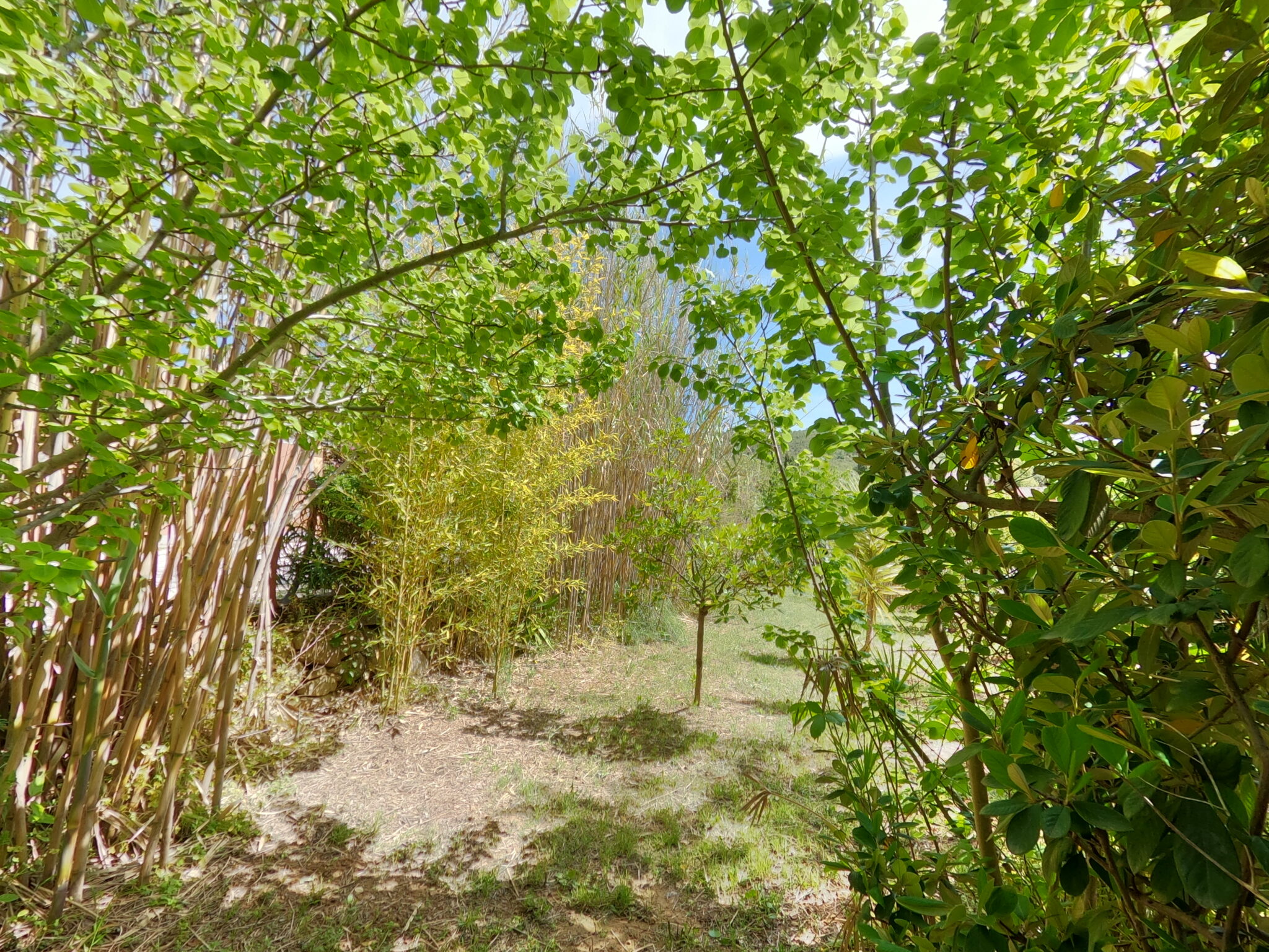 jardin méditerranéen en bord de mer meublé de vacances touristique