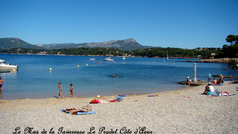 plage-oursiniéres