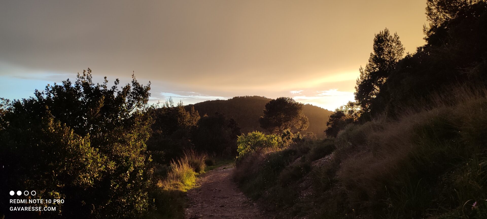 Le massif de la colle noire