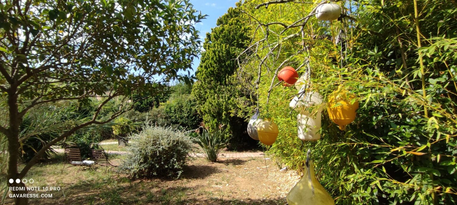 Bouées de navigation maritime recyclées et suspendues comme décoration artistique sur un noisetier dans le jardin méditerranéen de la Maison Gavaresse, au Pradet.