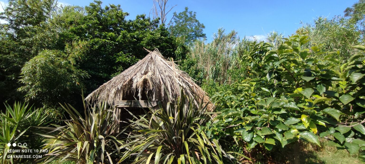 Cabane ronde écologique pour enfants en bois et palmes, inspirée de Tintin au Congo, dans le jardin de la Maison Gavaresse au Pradet.