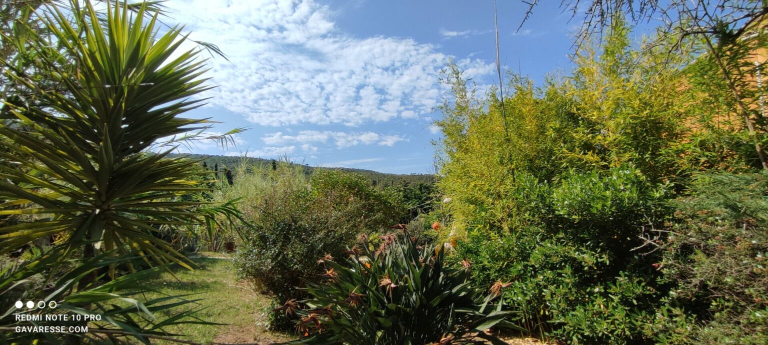 Vue panoramique dégagée sur le massif forestier de la Colle Noire depuis le jardin méditerranéen de la Maison Gavaresse au Pradet, Var