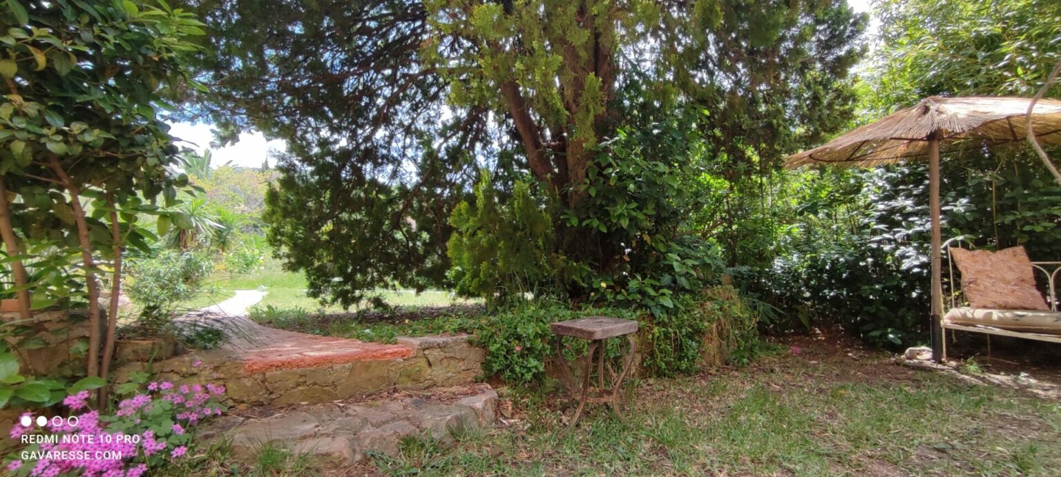 Charmanter Zugangsweg zur Ferienwohnung Le Pénéquet, blühender Garten in Le Pradet