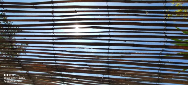 Sonne der Provence scheint durch das traditionelle Schilfrohr-Dach der Pergola im Ferienhaus Mas de la Gavaresse.