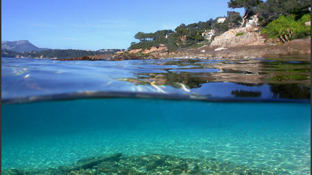 Clarté et transparence de l'eau de mer turquoise sur le littoral rocheux du Pradet à proximité du Mas de la Gavaresse.