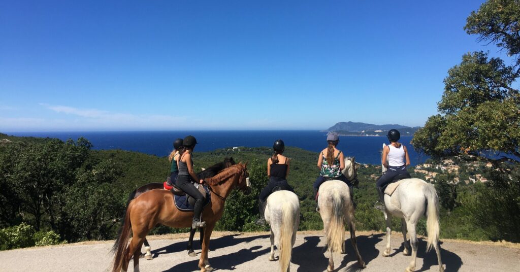 Cavalier en balade à cheval sur une piste ombragée dans les collines du Pradet.
